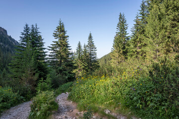 Obraz premium Landscape of Rila Mountain near Malyovitsa peak, Bulgaria