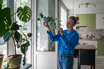 Focused woman inspects Philodendron stems and leaves by window, examining grow. Plant care, lush foliage health, nurturing greenery, florist attentive to details. Mini home garden, horticulture hobby