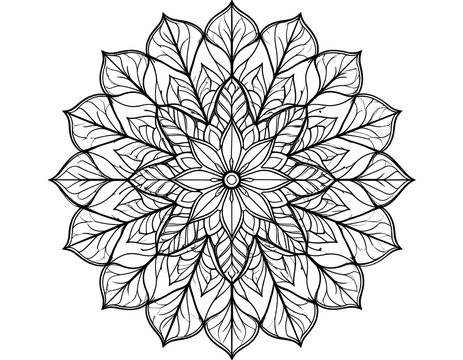 Intricate mandala design with leaf-like patterns