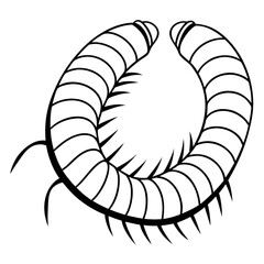 Minimalist illustration of a segmented worm or centipede body in a curved shape with many legs and a simple design vector