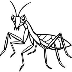 Minimalist illustration of a cartoon praying mantis with large eyes and prominent antennae in black and white style vector
