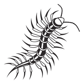 black and white centipede crawling clip art preview