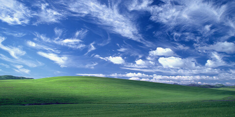 Fototapeta premium Vintage Windows XP Blissful Meadow Desktop Wallpaper Nostalgic Digital Landscape View From The Past