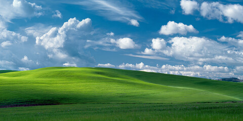 Fototapeta premium Windows XP Rolling Hills Blissful Desktop Wallpaper for a Nostalgic Trip to the Digital Past with Green Meadow and Blue Sky