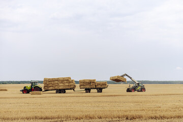 Tractors Harvesting Hay: A Scenic View of a Farmer's Field as Straw Bales Are Loaded onto Trailers for Transport During the Golden Hours of the Agricultural Season in Summer