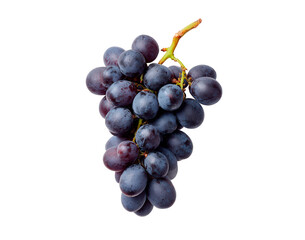 Fototapeta premium Black grapes cluster on transparent background