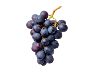 Black grapes cluster on transparent background