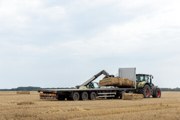 Obraz premium Harvesting Operations on a Farm: A Tractor Loading Bales of Hay onto a Tractor Trailer in a Wheat Field Under a Cloudy Sky