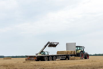 Fototapeta premium Efficient Farming Techniques: A Tractor and Loader at Work Collecting Hay Bales on a Sunny Day in the Field, Illustrating Modern Agricultural Practices and Equipment Usage