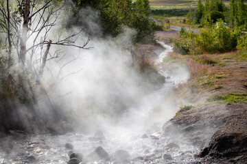 Steaming Geothermal Stream Flowing Through a Lush Natural Landscape Under the Sun