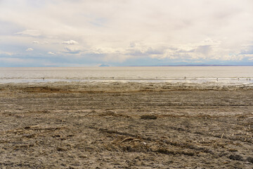 A desolate but serene shoreline covered in debris meets the calm waters of a vast lake, with distant mountains visible under a soft, cloudy sky.