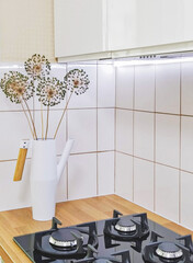 Minimalist kitchen corner with white ceramic vase, minimalist lines of clean tiles, minimalist mood around dried allium stems. Gas stove glints, wood counter warms palette, daylight paints shadow