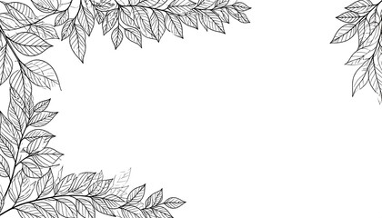 Elegant black-and-white leaf border