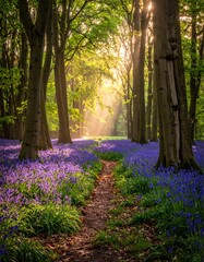 Sunlight streams through a vibrant forest path filled with bluebells