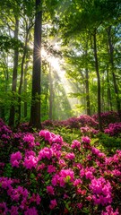Sunlight streams through a vibrant rhododendron forest