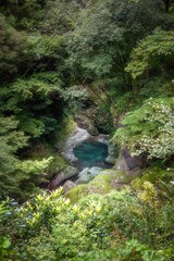 Naklejka premium 高知県仁淀川町 新緑の中津渓谷 