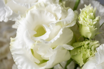 White flowers in a close-up arrangement, showcasing delicate petals and soft textures, creating a serene and elegant atmosphere for floral design inspiration