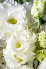 White flowers with delicate petals and lush green buds create a serene floral arrangement, showcasing beauty and elegance in a soft, natural setting, perfect for decoration or design