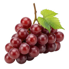 Fototapeta premium Bunch of Red Grapes Fresh Juicy Sweet Fruit Isolated Natural Harvest Ripe Healthy Snack Delicious Food Close-up Viticulture Vineyard