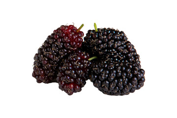 Amoras frescas isoladas