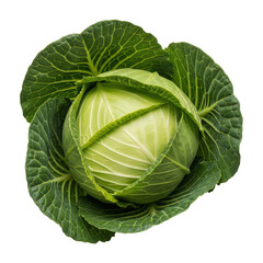 Fototapeta premium Cabbage Close Up Isolated Head of Fresh Green Cabbage with Leaves Healthy Vegetable Plant Ingredient for Cooking Vegetarian Dish Market Food
