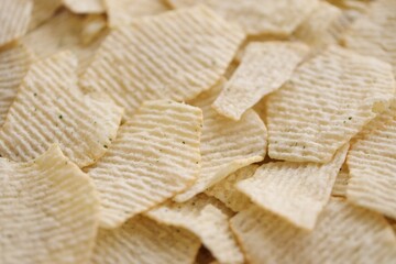 Homemade Flavored Paprika Potato Chips in a Bowl, top view. Flat lay