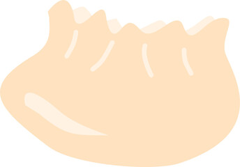 Steamed Momo Dumplings
