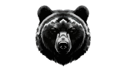 Dramatic monochromatic portrait showcasing the powerful presence of a bear with intricate fur detail