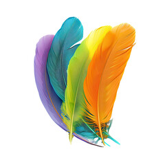 Three colorful feathers in close proximity