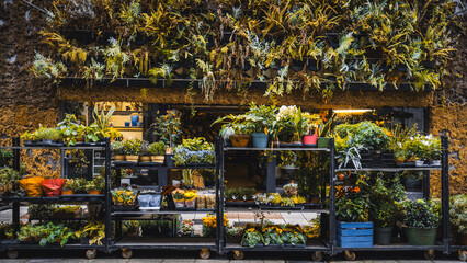 Colorful flower shop display with shelves full of potted plants, flowers and greenery, set against...