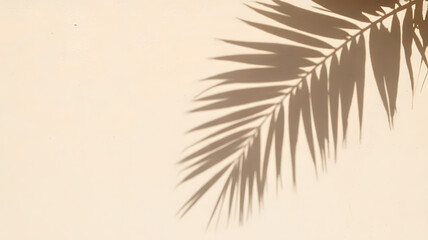Obraz premium Palm leaf shadow casting on a textured beige wall creating a minimalist aesthetic and modern design