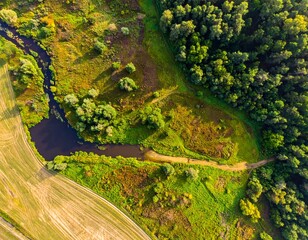 High-angle view of a river winding through a landscape of fields and forests