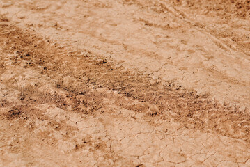 track from car wheel on country road