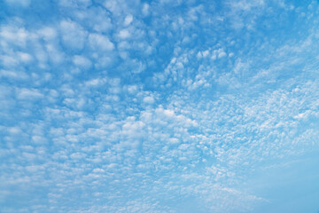 The sky is blue with many clouds. The clouds are scattered throughout the sky and are of various sizes. The sky is clear and bright, with no signs of rain or storms. Concept of calm and tranquility