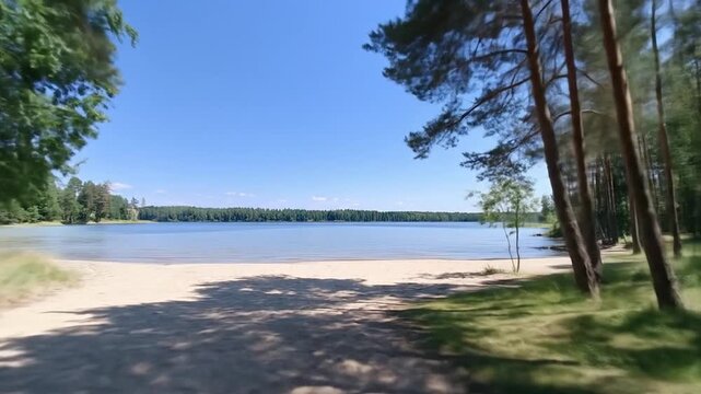 Scenic lake view framed by pine trees on a sunny day serene waterscape nature landscape