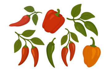 Vector illustration of different chili peppers with leaves, flat cartoon doodle style isolated.