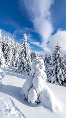 Snowy mountain forest scene