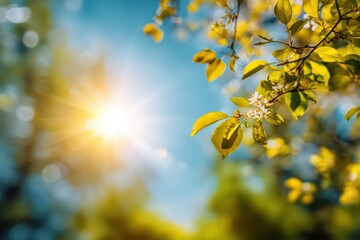 Obraz premium Spring Blossoms Under Sunny Sky