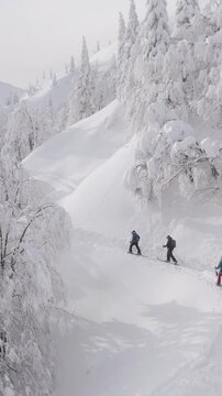 AERIAL: Three active tourists hike along a scenic trail during a fun splitboarding trip in the Slovenian mountains. Flying behind a group of ski tourers hiking up a mountain covered in fresh snow.