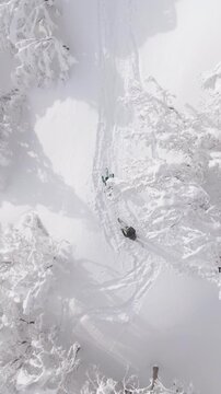 AERIAL, TOP DOWN: Flying above a group of ski tourers hiking up a mountain covered in fresh snow. Active tourists hike along a scenic trail during a fun splitboarding trip in the Slovenian mountains.