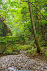 阿寺の七滝の散策路（愛知県新城市）