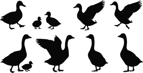 Duck and goose silhouettes, bird poses, flying wings, farm animal vector, black icons, waterfowl design, chick shapes, rural theme