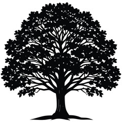 Obraz premium oak tree silhouette vector illustration on white b.eps