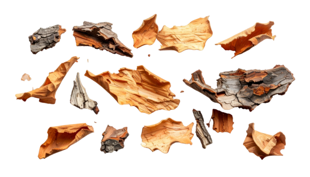 Scattered pieces of wood bark against a black background