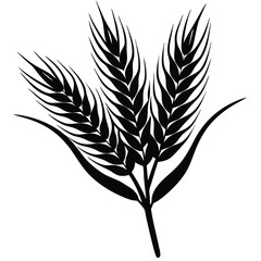 wheat stalk silhouette vector illustration on whit.eps
