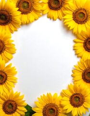Sunflowers frame a white background