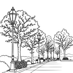 Minimilist illustration of a street with trees and lampposts in a black and white line drawing style view of a park vector © MuhammadNajafAli