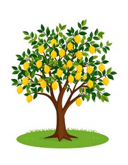 Lemon tree illustration
