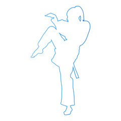 Hand Drawn Karate Woman Illustration. Vector Line Art © Fadhil
