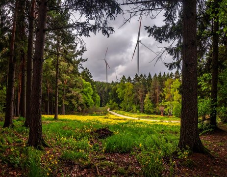 Forest path with wind turbines